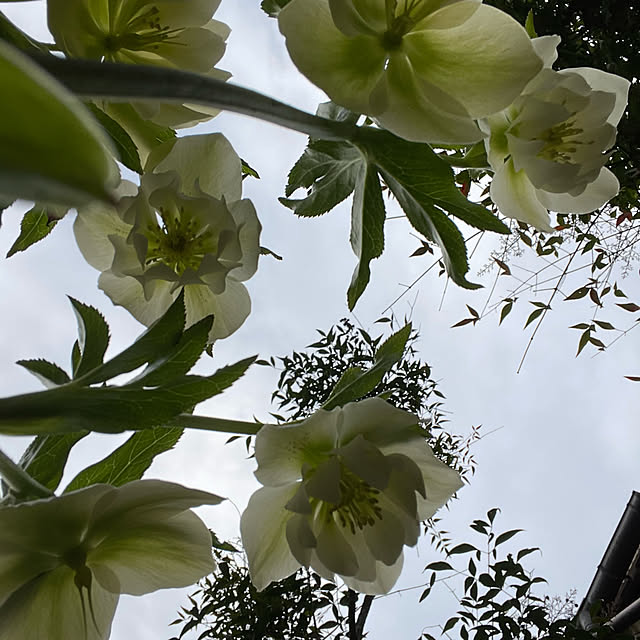 natsumiさんの部屋