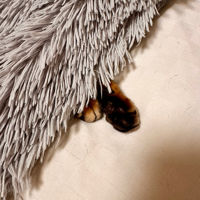 nene6さんの部屋