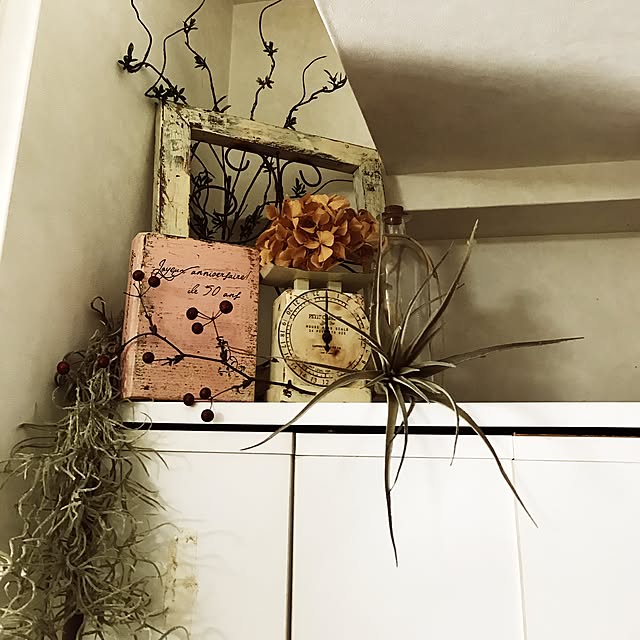 Satomiさんの実例写真