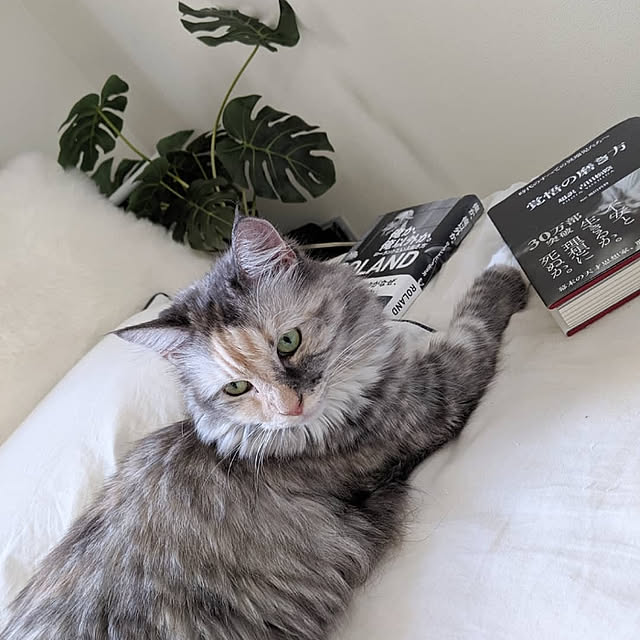 BEroomさんの実例写真