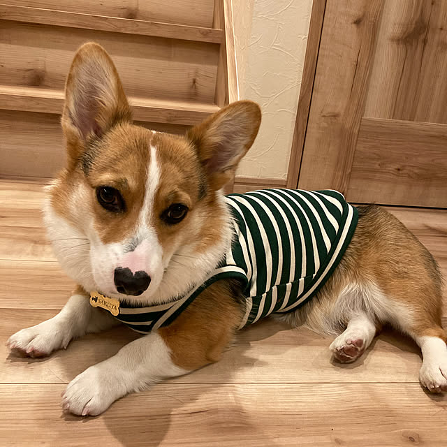 bobさんの実例写真
