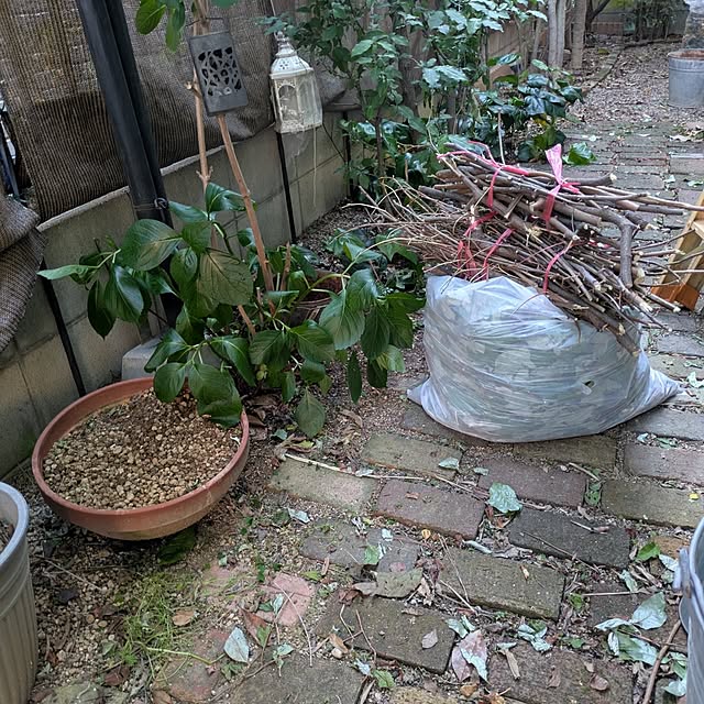 mori_6_12さんの実例写真
