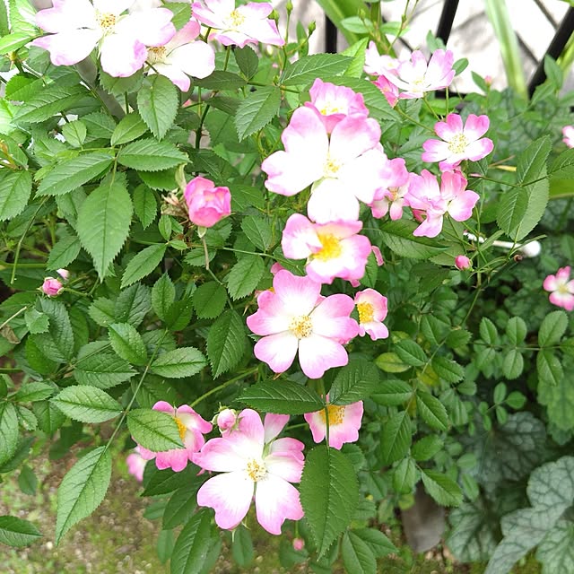 katさんの部屋