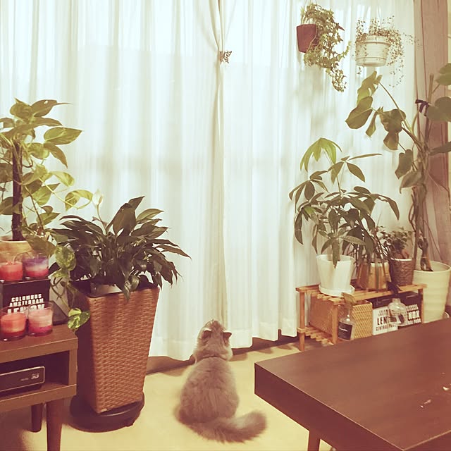 Miki-Ginさんの実例写真