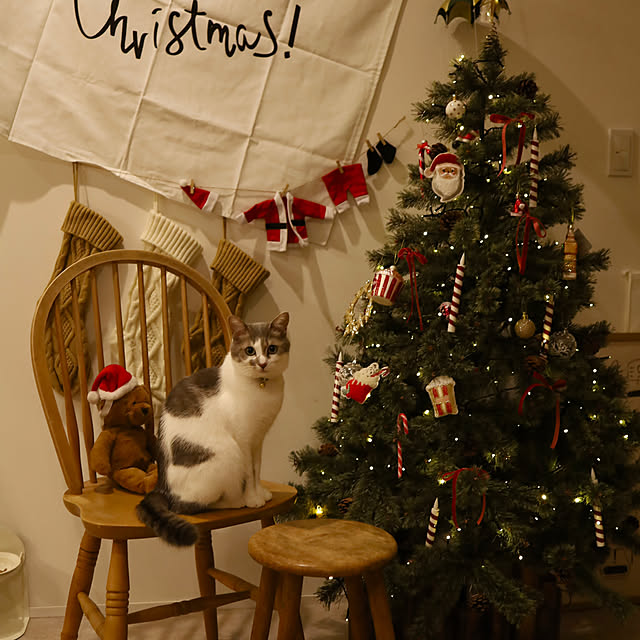 comiriさんの実例写真