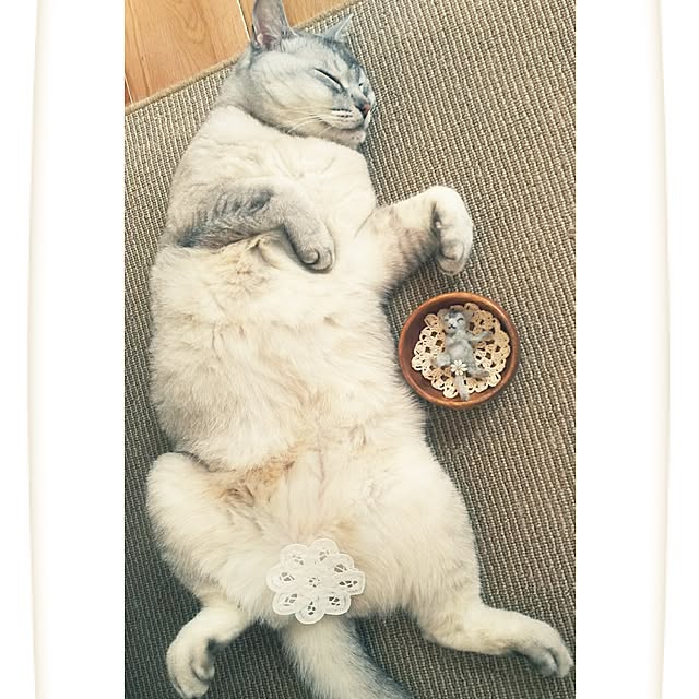 tamacharouさんの実例写真