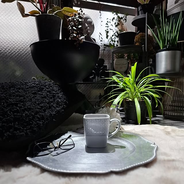 noaさんの実例写真