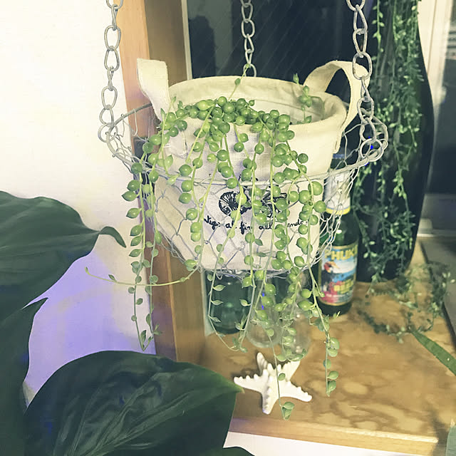 mtaさんの実例写真