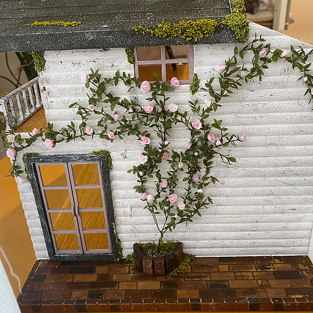 zuccoさんの部屋