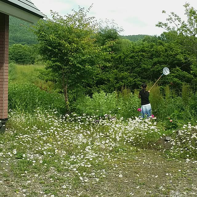 Minaharuさんの実例写真