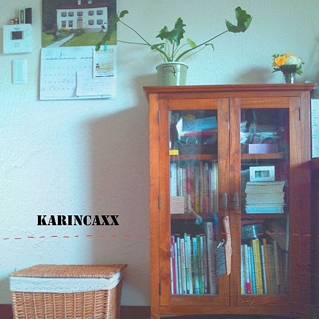 karincaxxさんの実例写真