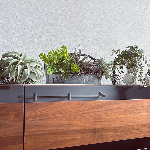 maimai0110さんの部屋