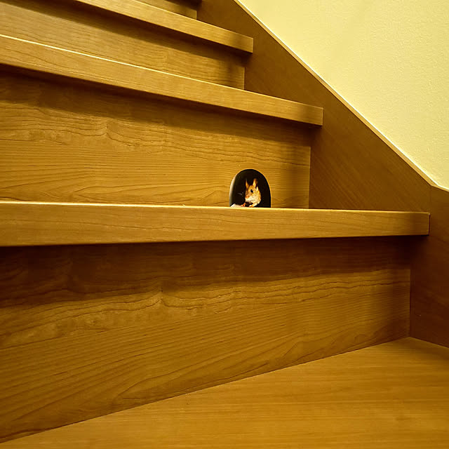 壁/天井のインテリア実例 - 2022-01-20 00:17:59