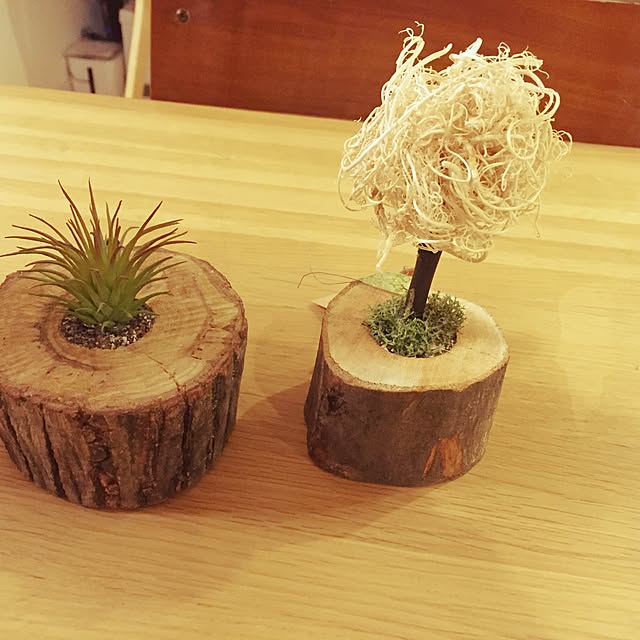 aoin0206さんの実例写真