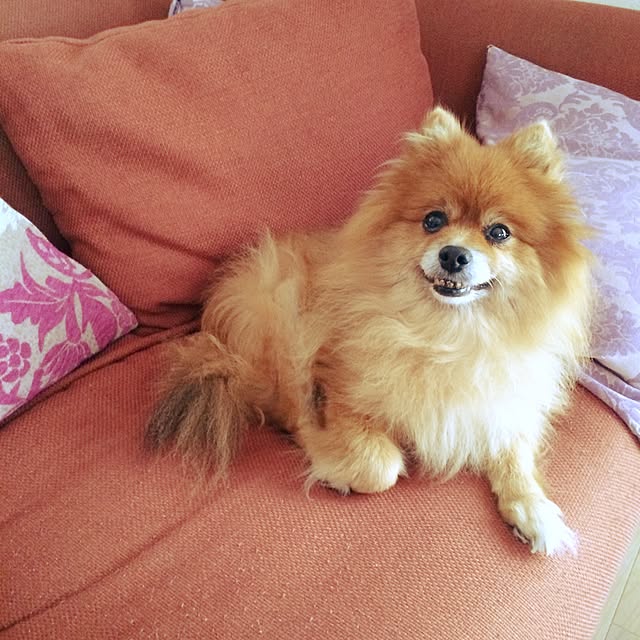 kanakさんの実例写真