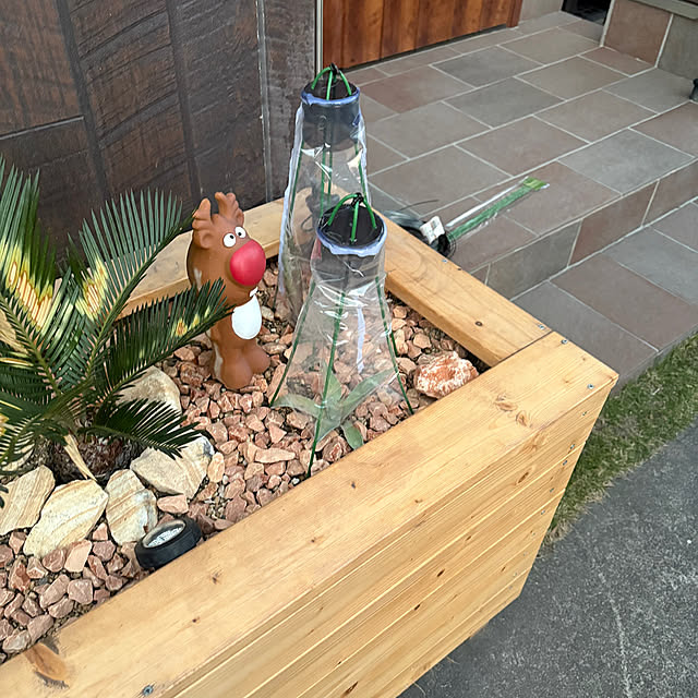 t-k-aさんの実例写真