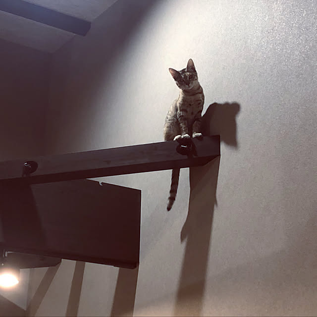 imosukeさんの実例写真