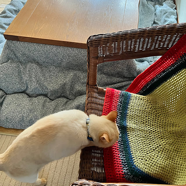 mohhaさんの実例写真