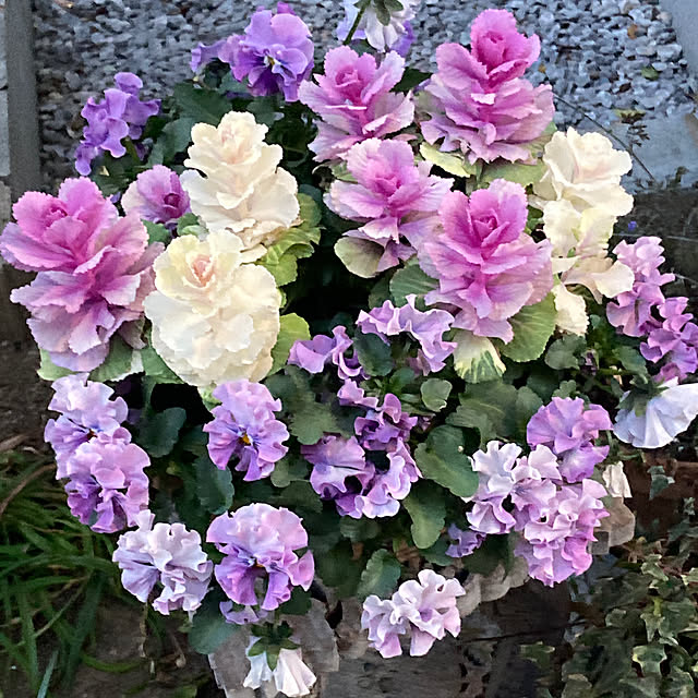 kitamitanoさんの実例写真