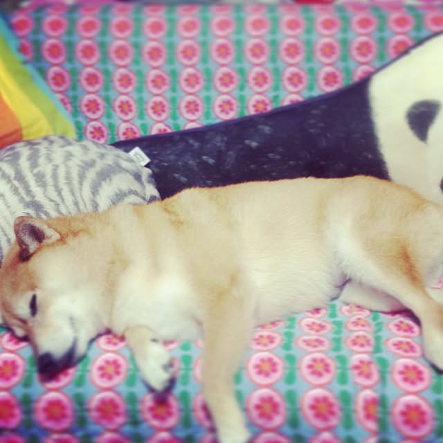 sammyさんの実例写真