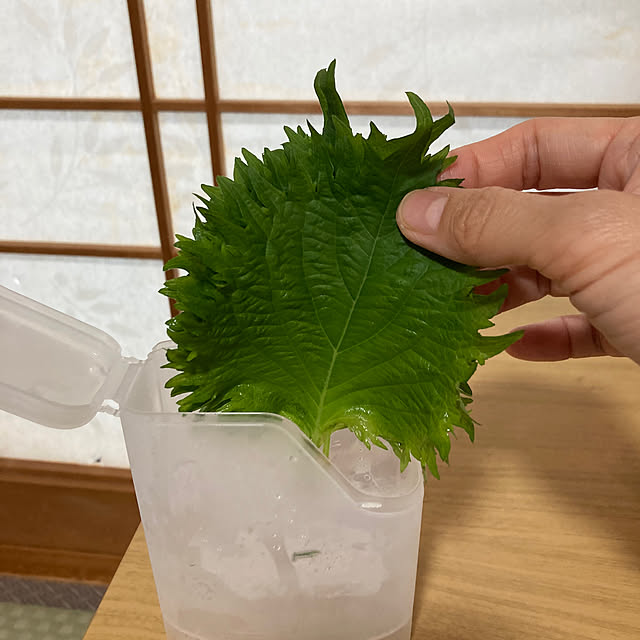 koroさんの部屋