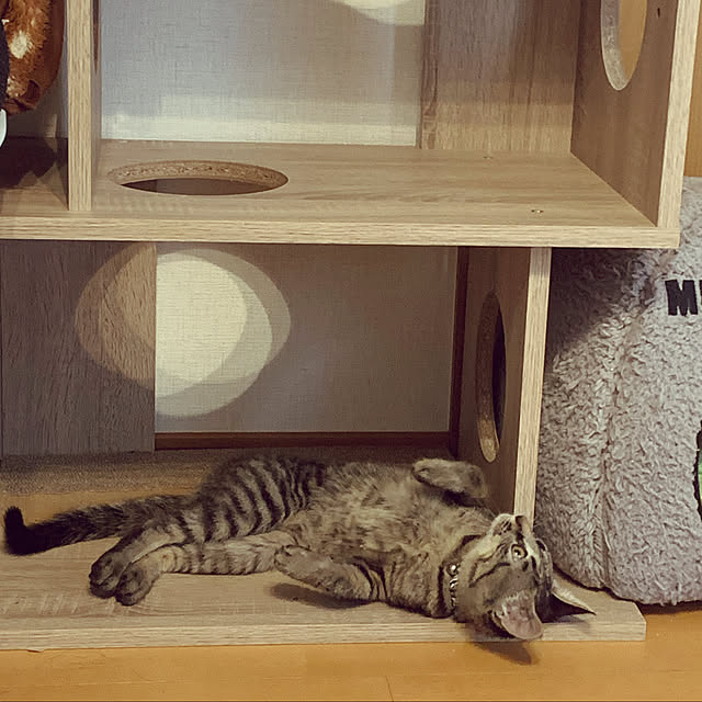 yuuumyさんの実例写真