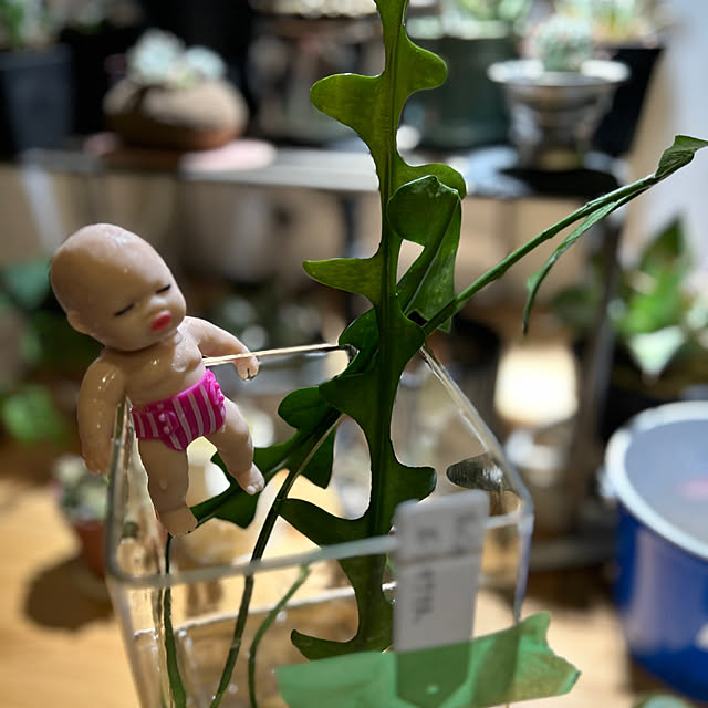 Rさんの部屋