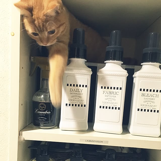 rumiさんの実例写真