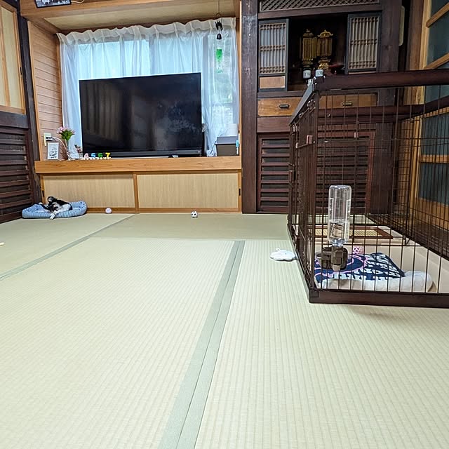 kuririnmamaさんの部屋