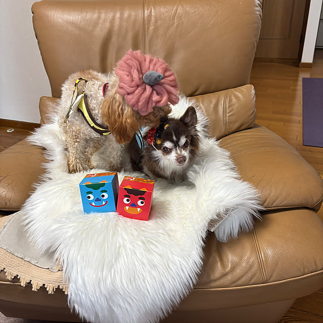 chIoeさんの部屋