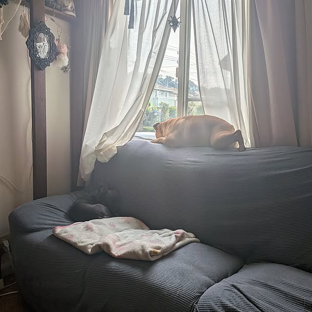 chi_gogaさんの部屋