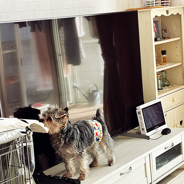 marikoさんの部屋
