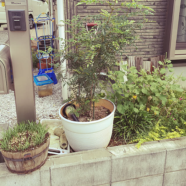Mikaさんの実例写真