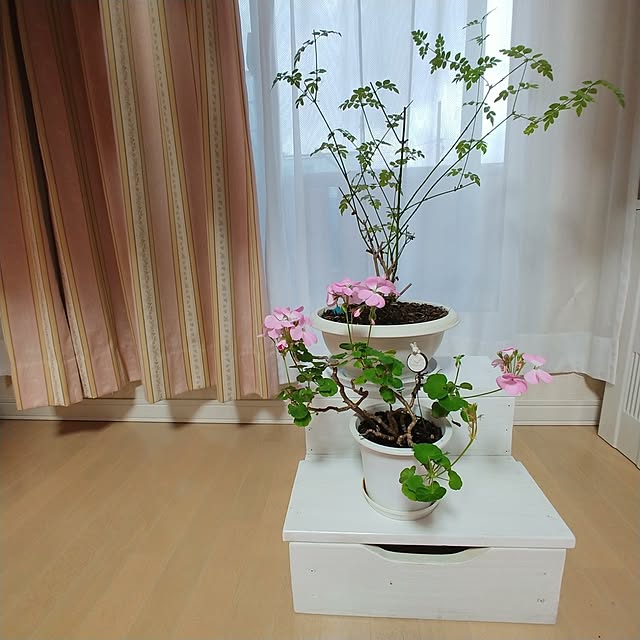 oliveさんの実例写真