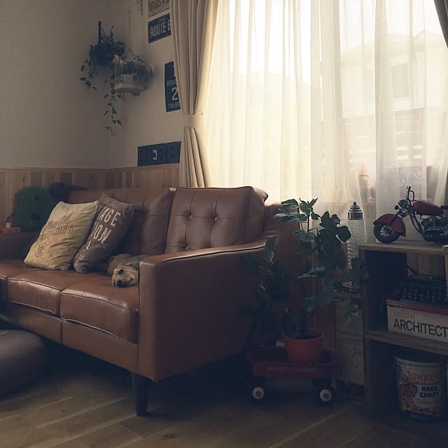 Hanaさんの実例写真