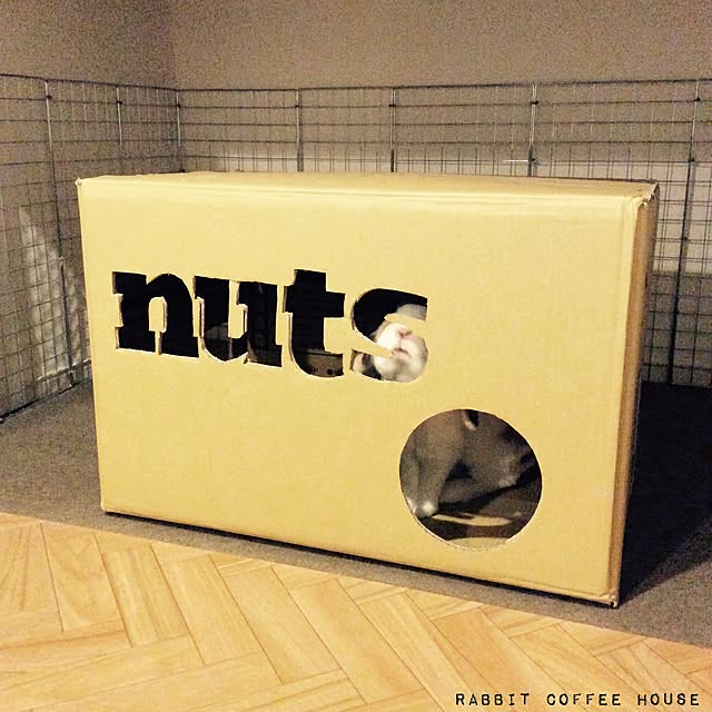 nutsさんの実例写真