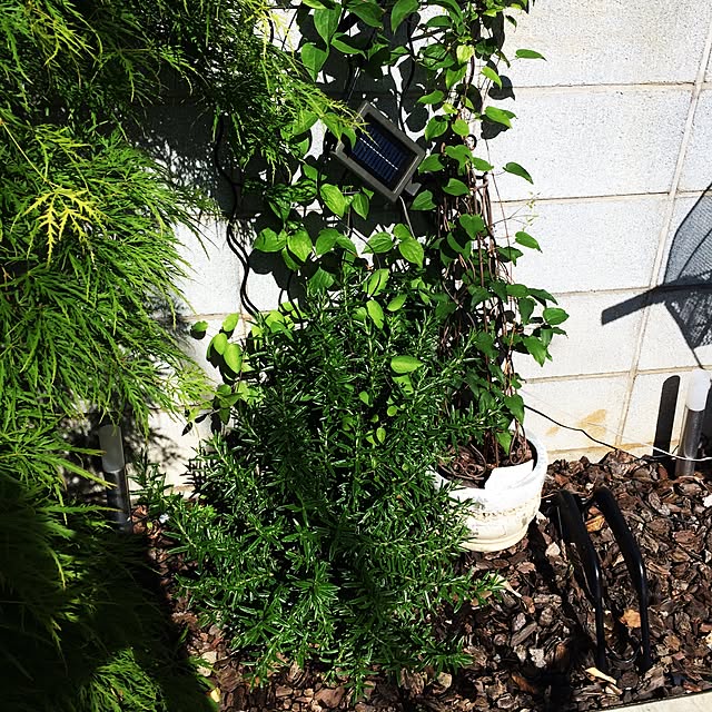 yasuyoさんの実例写真