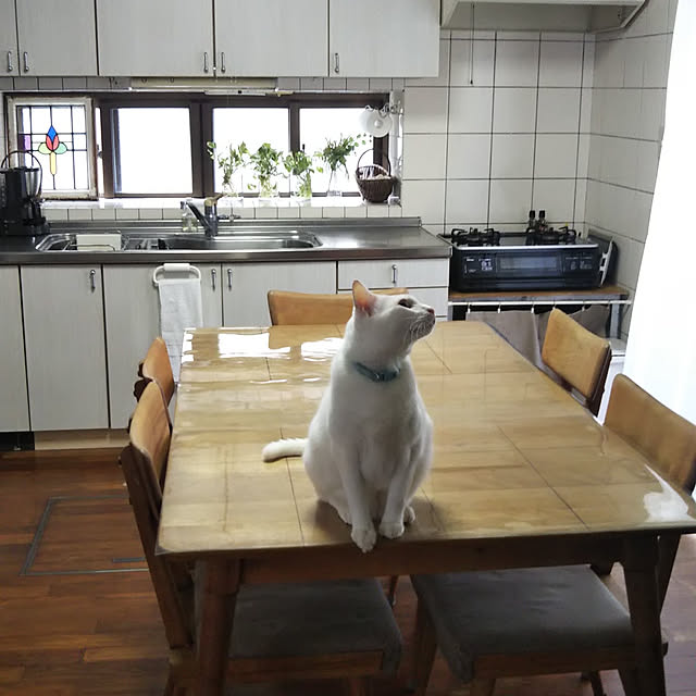gabさんの実例写真