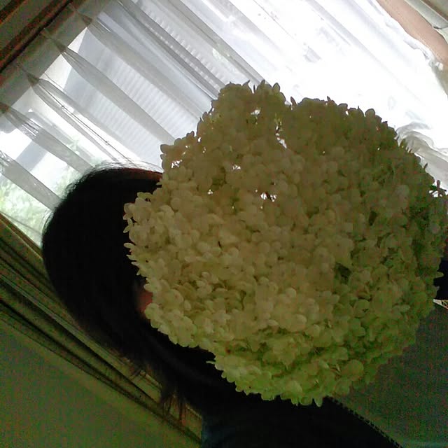 satochiさんの実例写真