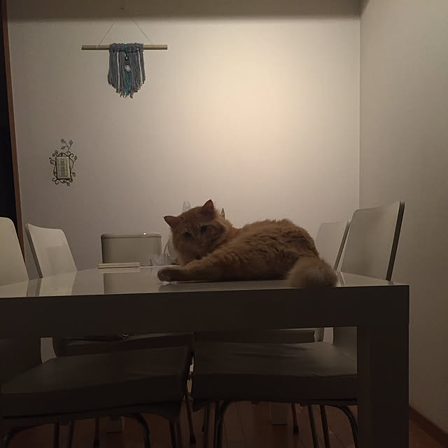 Ryokoさんの実例写真