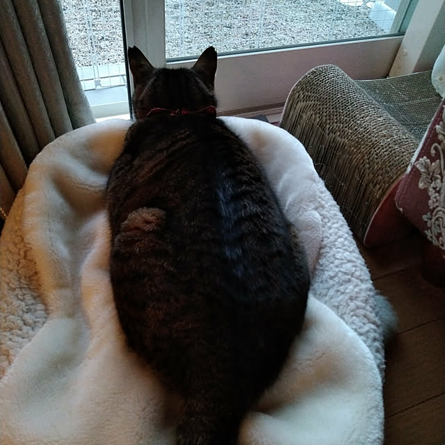lilyさんの実例写真