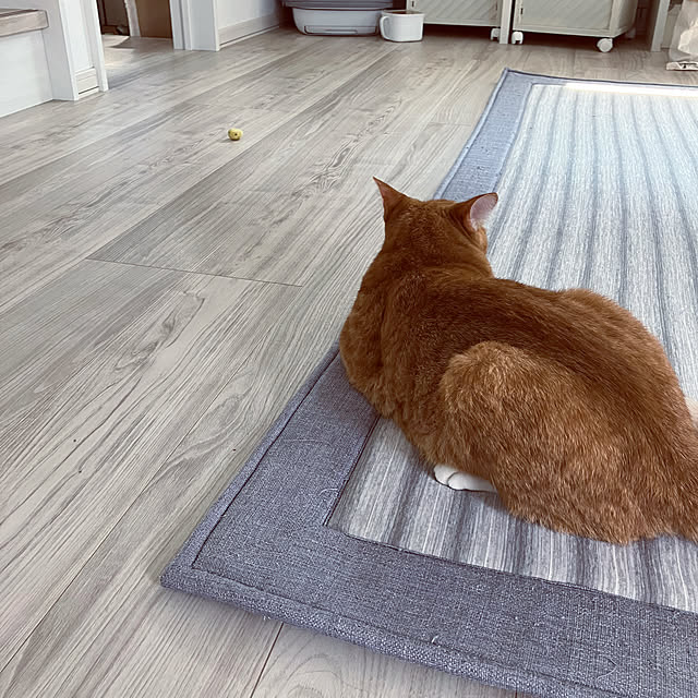 myuuさんの部屋