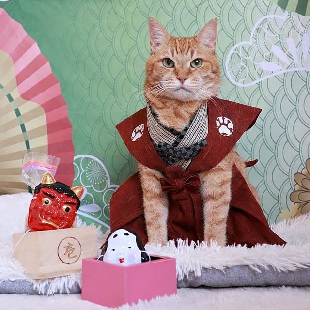 nyanta.koume.kannaさんの部屋