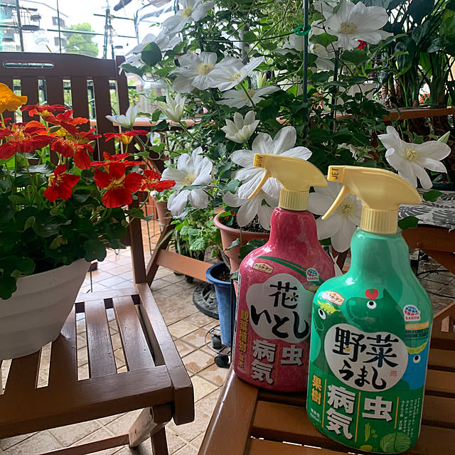 Aqettyさんの部屋