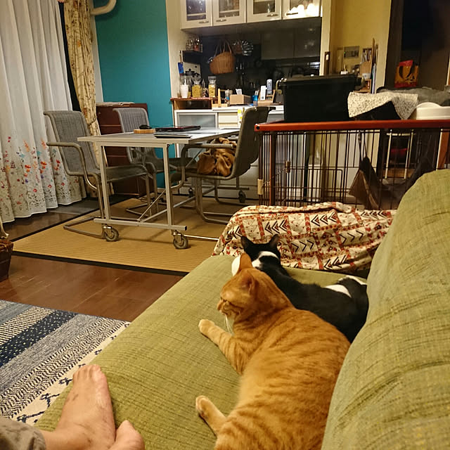 okyosan101さんの実例写真