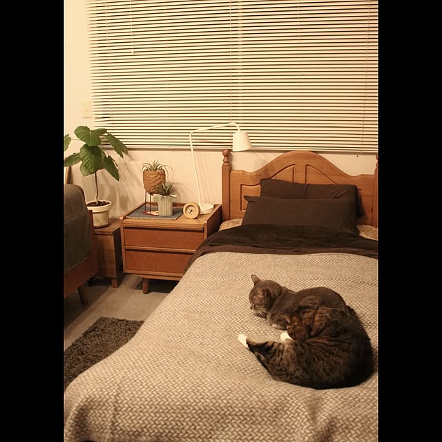 haruさんの実例写真