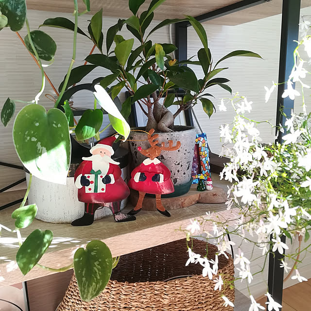 Jijiさんの実例写真