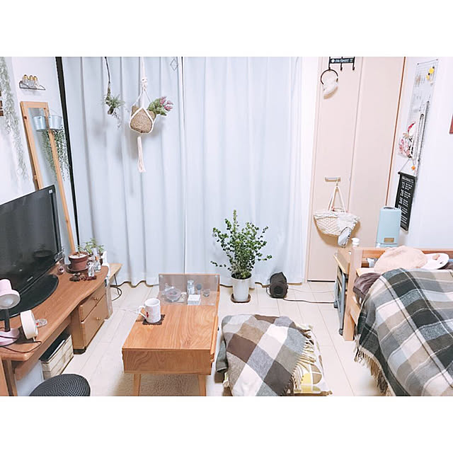 mikiteacupさんの実例写真