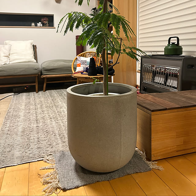 hatsugaさんの部屋