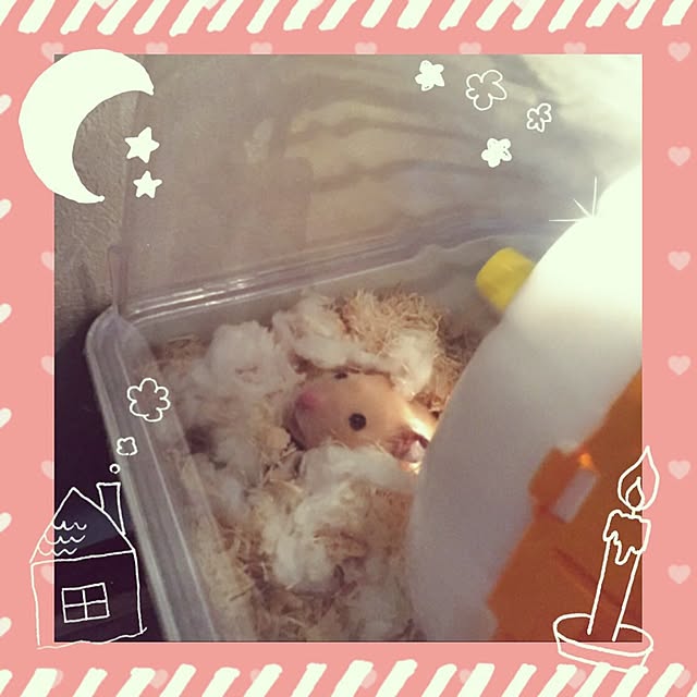 emiさんの実例写真